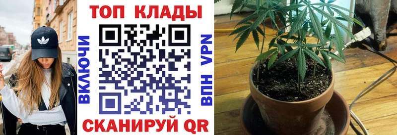 Магазины продажи наркотиков Бор КОКАИН Меф мяу мяу Амфетамин Бошки Шишки ГАШИШ