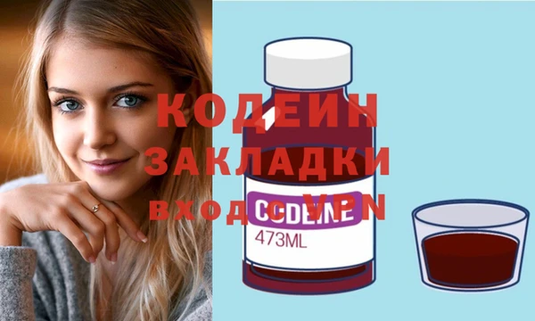 гидра Богородицк