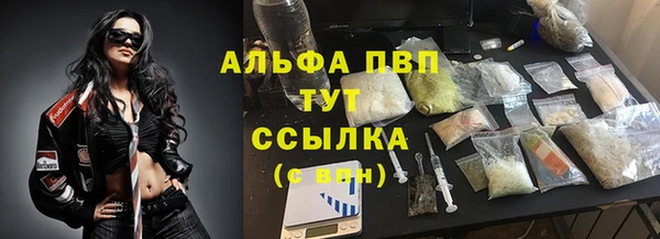 гидра Богородицк