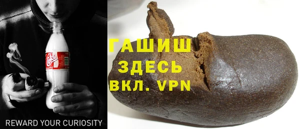 гидра Богородицк