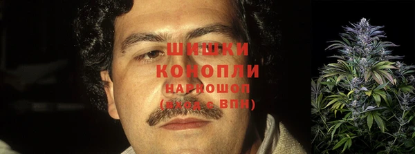 марихуана Белокуриха