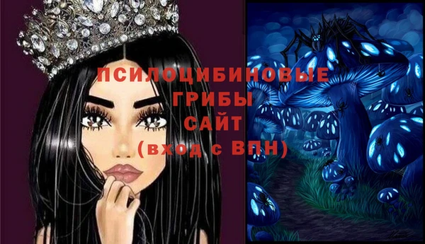 молекула духа Белоозёрский