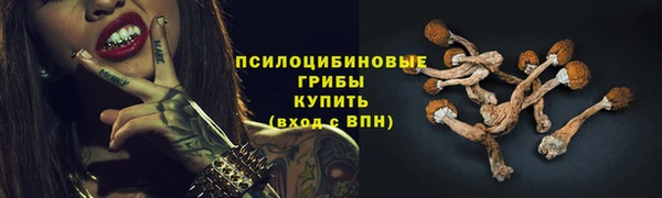 молекула духа Белоозёрский