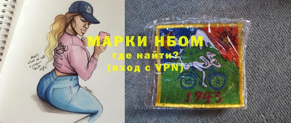 гидра Богородицк