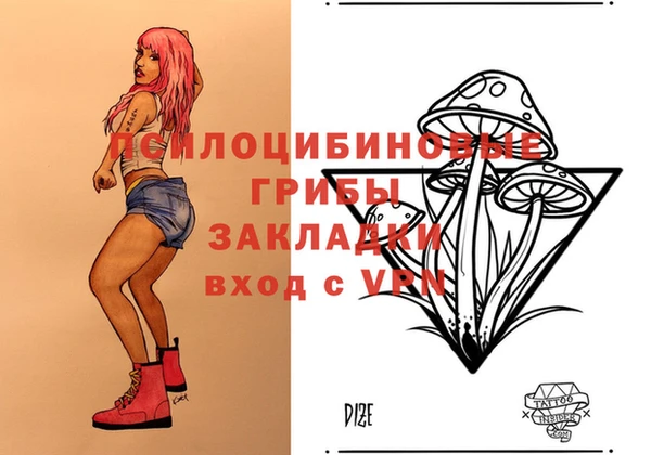 гидра Богородицк